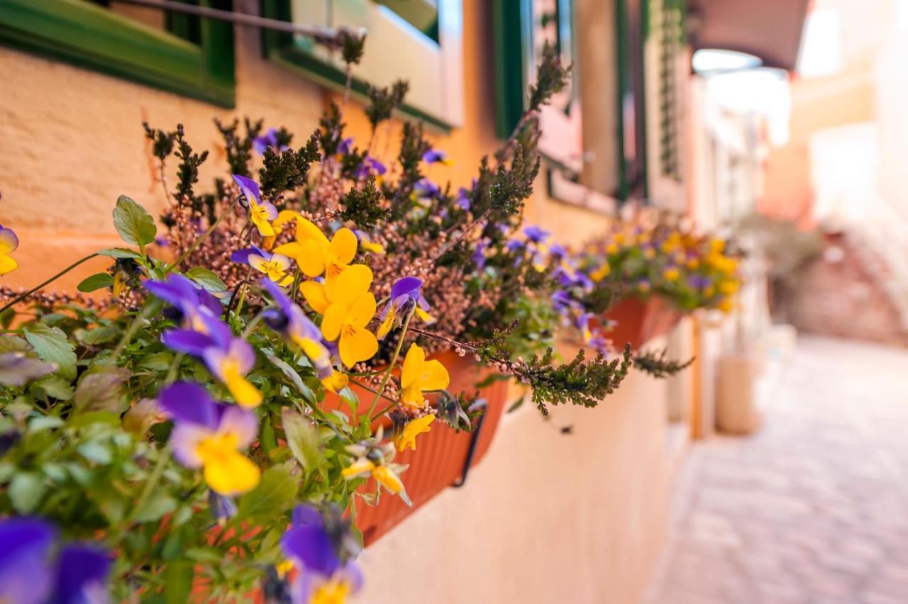 Guest House Sotto I Volti Centro Storico Rovinj Exterior photo